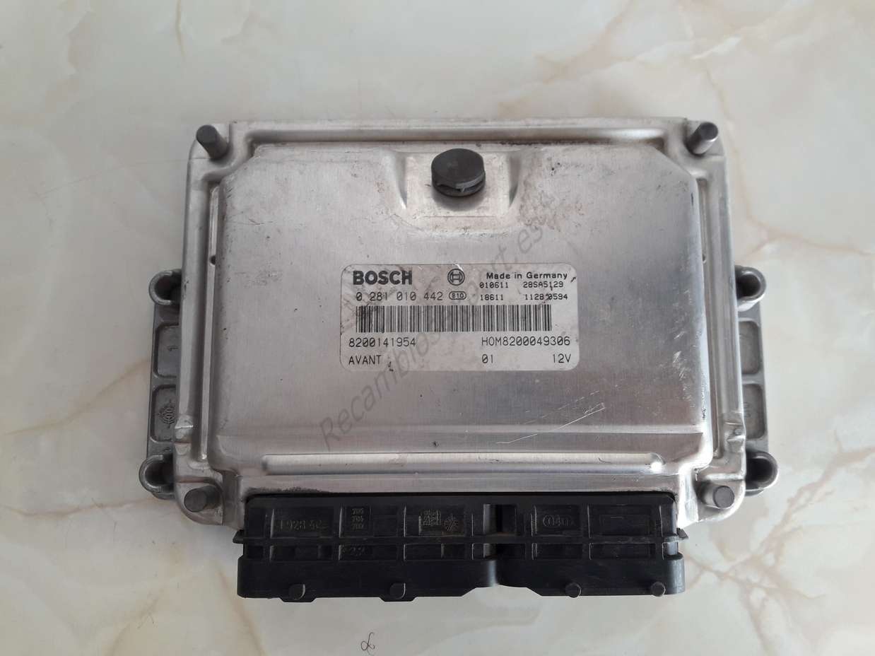 Centralita Renault Megane Scenic 8200141954 HOM8200049306 0281010442 - foto 1