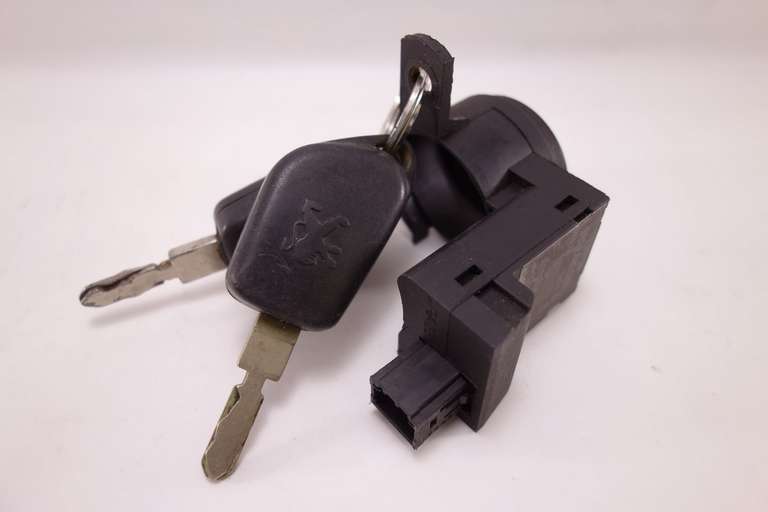 Lector de llave Citroen Peugeot 9632487880 99259304 DATE.F9 IND.00 - foto 1
